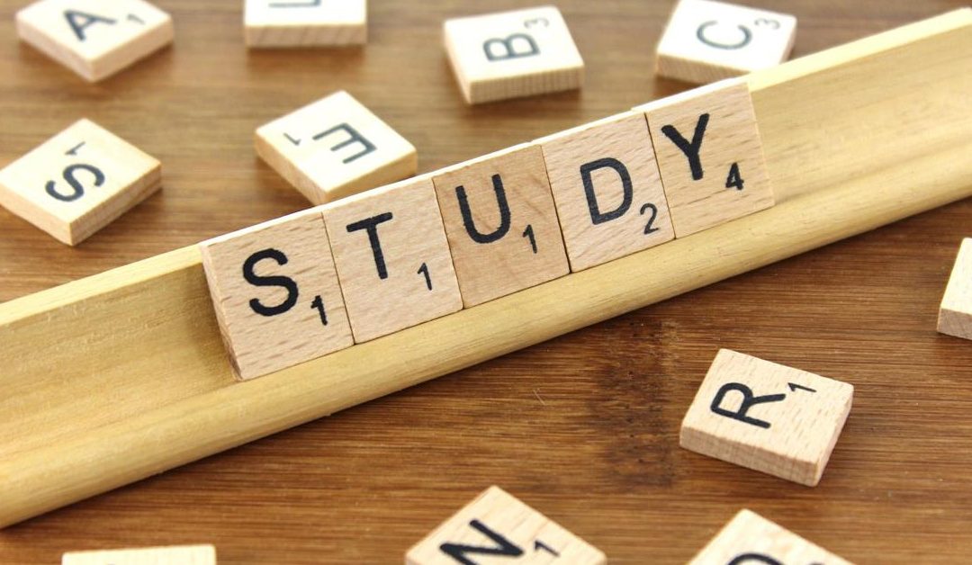 La clave de la que dependerá triunfar en el futuro con los cursos online
